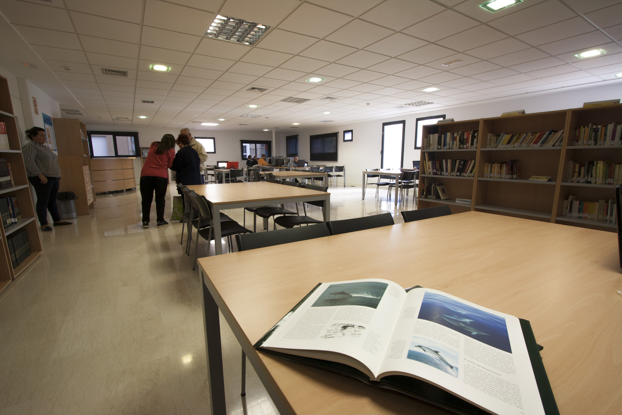 CA DON JOSÉ. BIBLIOTECA MUNICIPAL. SALA D'ADULTS. AJUNTAMENT DE CANALS.