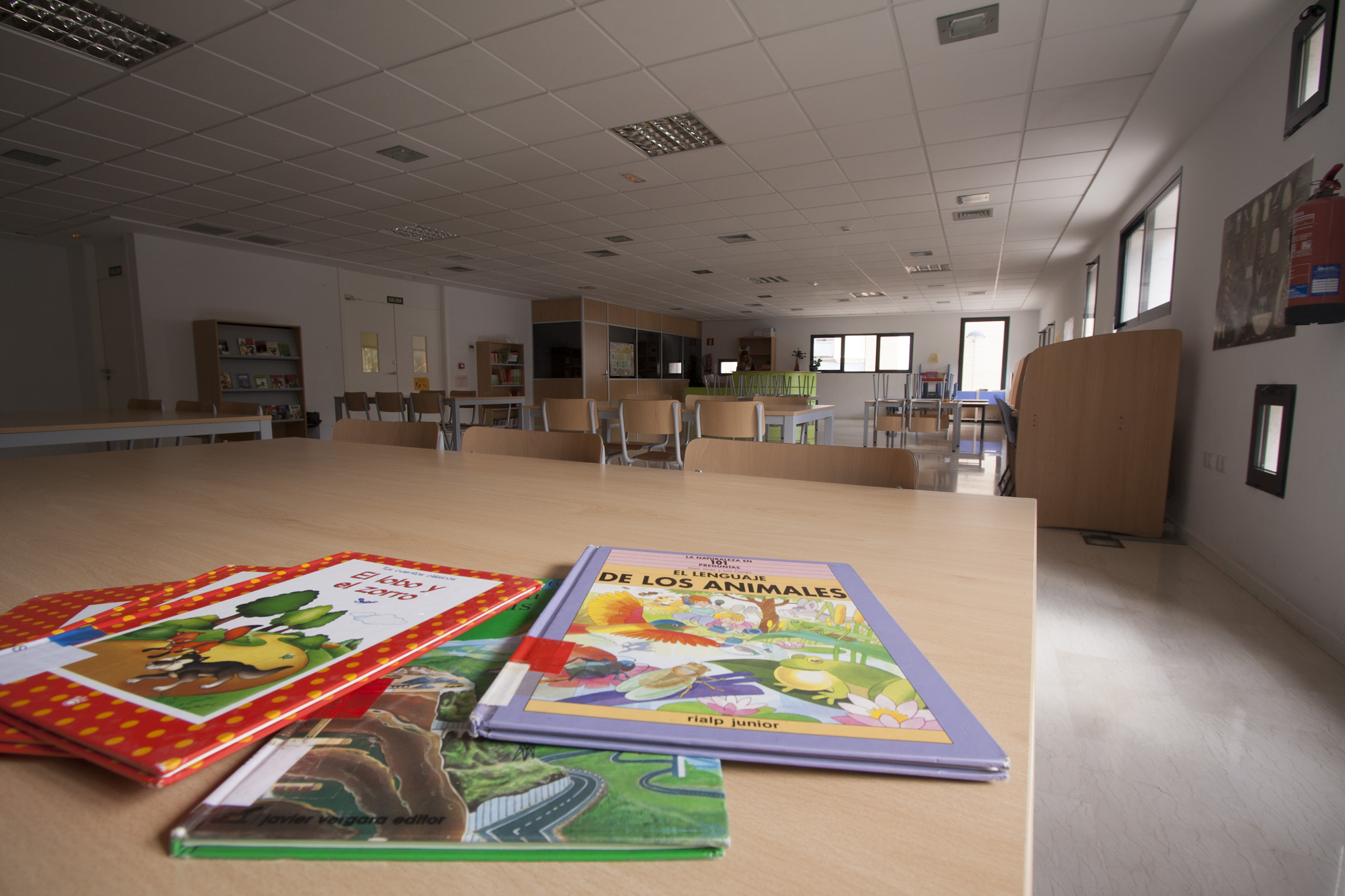 CA DON JOSÉ. SALA INFANTIL BIBLIOTECA MUNICIPAL. AJUNTAMENT DE CANALS.