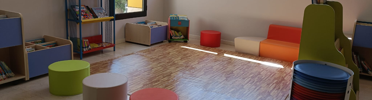 redecoració biblio